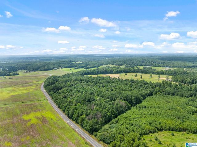 4590 COUNTY ROAD 616, Hanceville, AL 35077