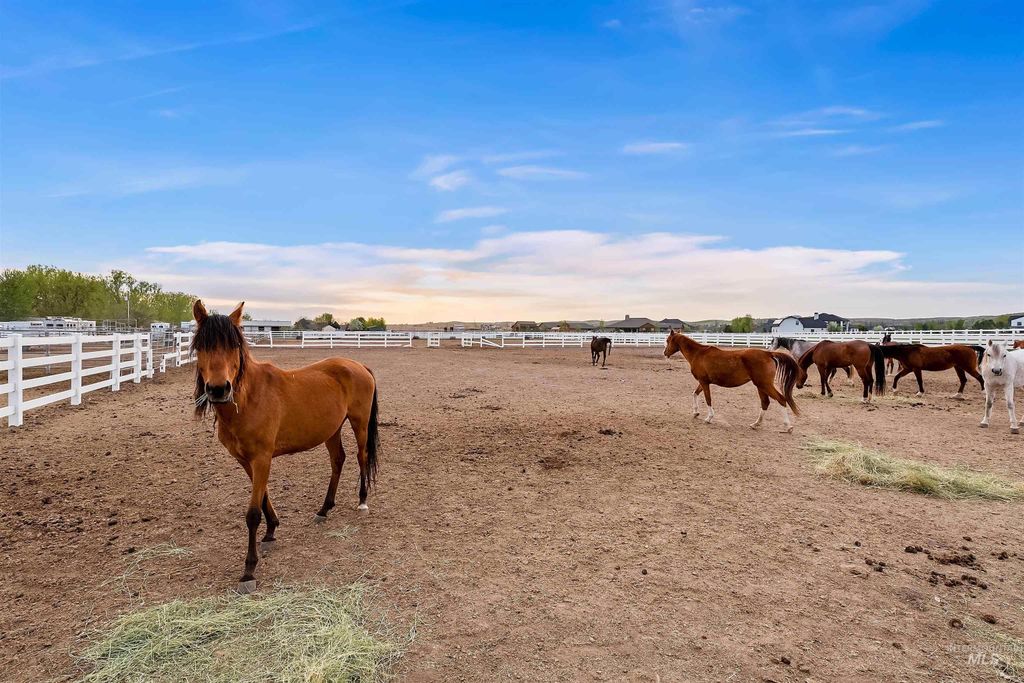 4503 W Remedy Lane, Eagle, ID 83616 photo 18