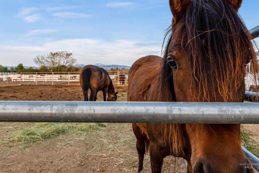 4503 W Remedy Lane, Eagle, ID 83616 photo 8