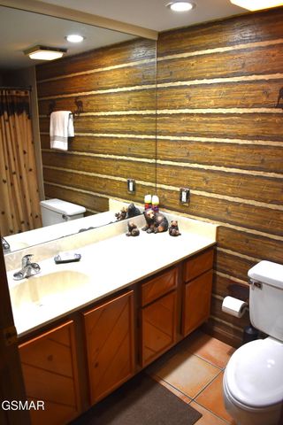 1435 Wiley Oakley Dr Apt 177, Gatlinburg, TN 37738