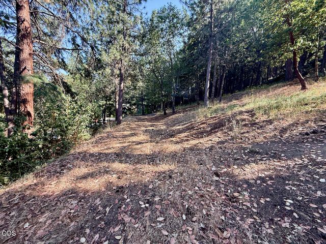 Weller Lane, Ashland, OR 97520