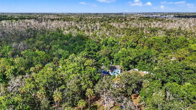 4586 S FLAMBEAU LOOP, Homosassa, FL 34448
