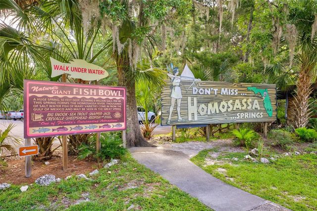 4586 S FLAMBEAU LOOP, Homosassa, FL 34448