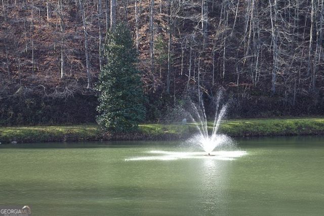 50 Kings Court, Ellijay, GA 30540