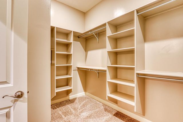 12177 CHAPEL HILL Road, Horizon City, TX 79928