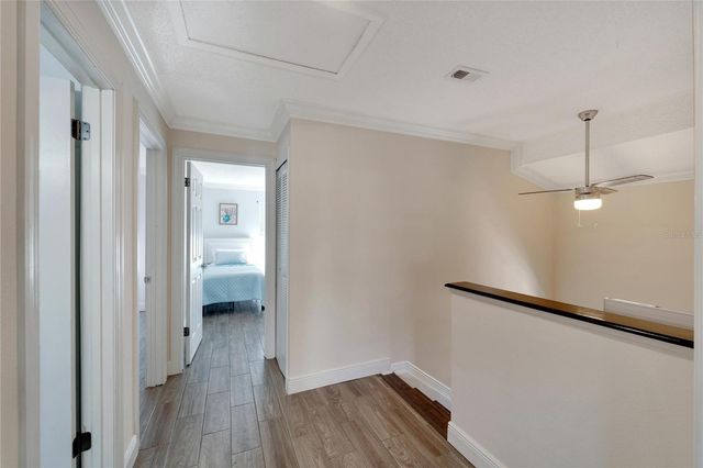 7610 LEON AVENUE, Temple Terrace, FL 33637