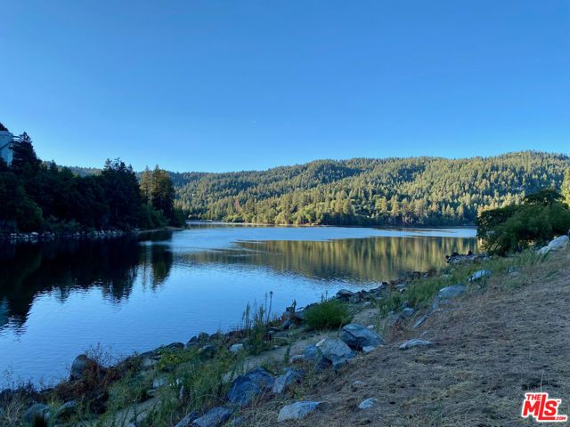 24310 Altdorf Drive, Crestline, CA 92325