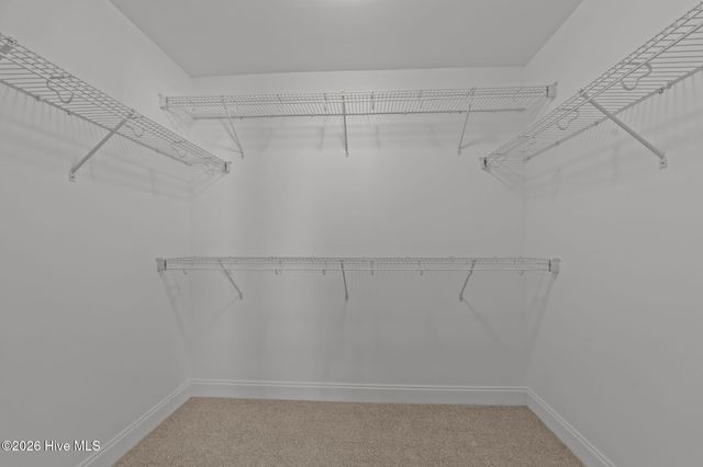 2333 Rhinestone Drive, Winterville, NC 28590