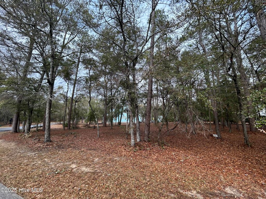 3468 Concordia Avenue SW, Supply, NC 28462