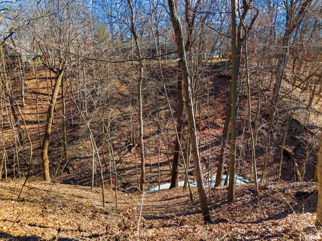 9156 N TIMBER Lane, Peoria, IL 61615