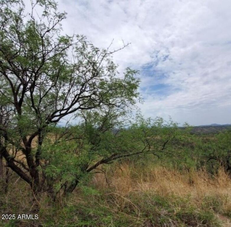 580 CAVE Lane 49, Rio Rico, AZ 85648