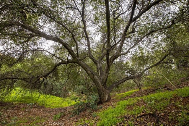 1702 Dwight Street, Redlands, CA 92373