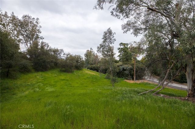 1702 Dwight Street, Redlands, CA 92373