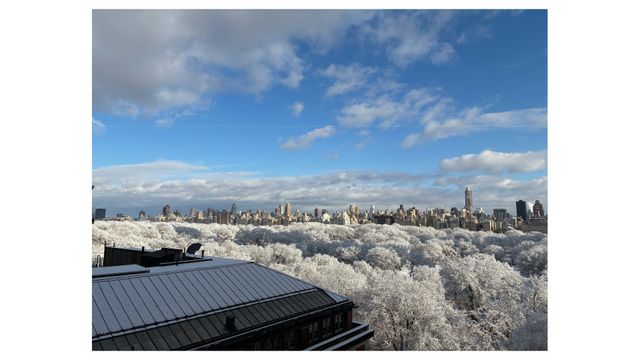 25 Central Park W Apt 12S, New York City, NY 10023