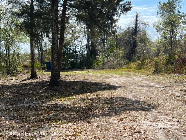 15419 Peach Orchard Road, Brooksville, FL 34614