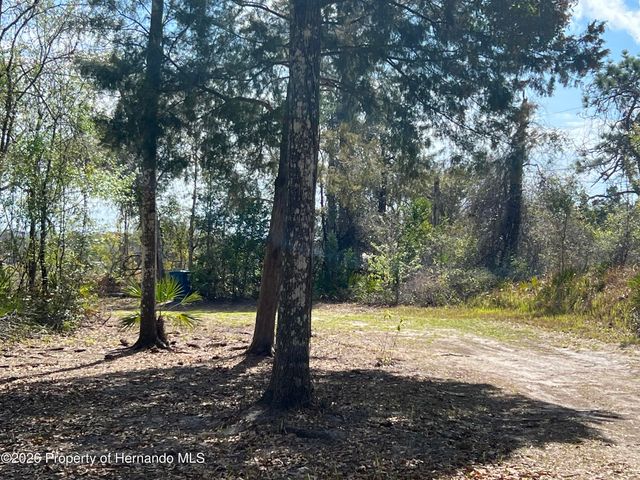 15419 Peach Orchard Road, Brooksville, FL 34614