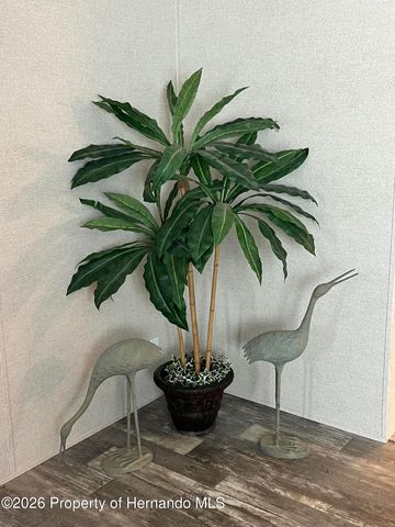 15419 Peach Orchard Road, Brooksville, FL 34614