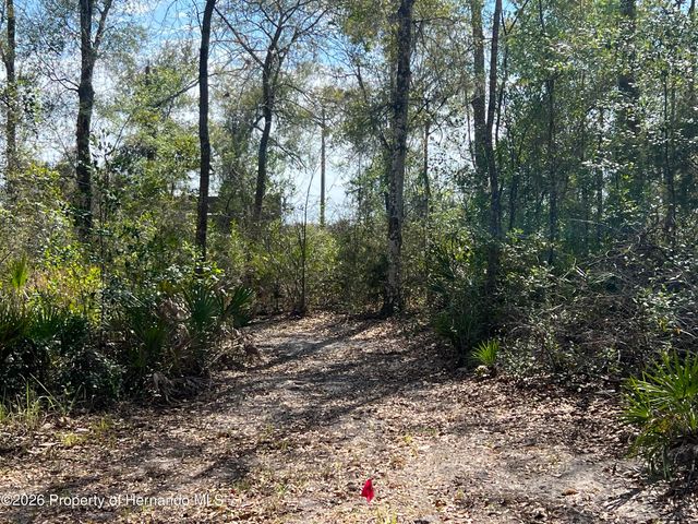 15419 Peach Orchard Road, Brooksville, FL 34614