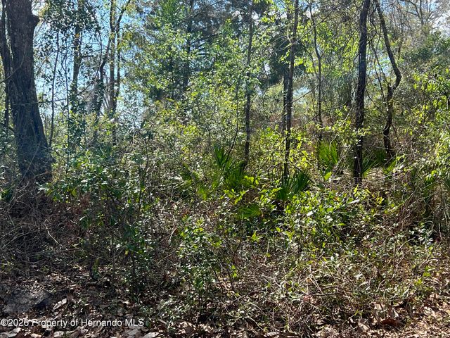 15419 Peach Orchard Road, Brooksville, FL 34614