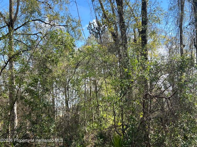 15419 Peach Orchard Road, Brooksville, FL 34614