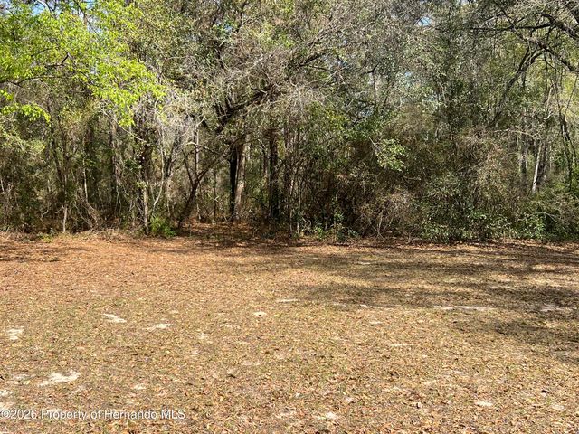 15419 Peach Orchard Road, Brooksville, FL 34614