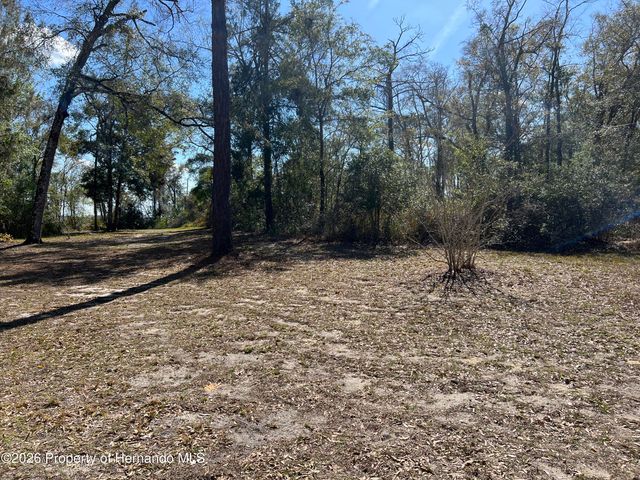 15419 Peach Orchard Road, Brooksville, FL 34614