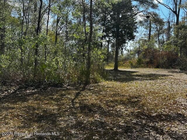 15419 Peach Orchard Road, Brooksville, FL 34614