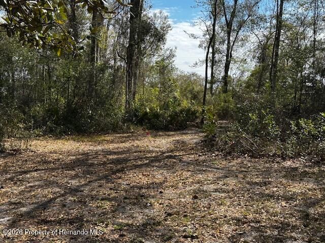 15419 Peach Orchard Road, Brooksville, FL 34614