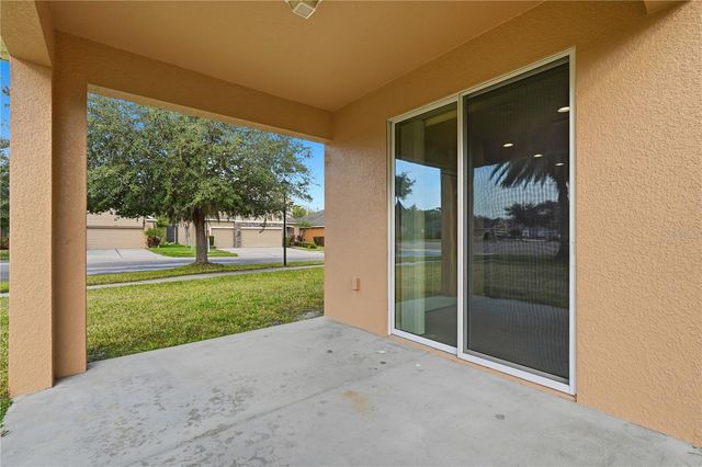 20203 AUTUMN FERN AVENUE, Tampa, FL 33647