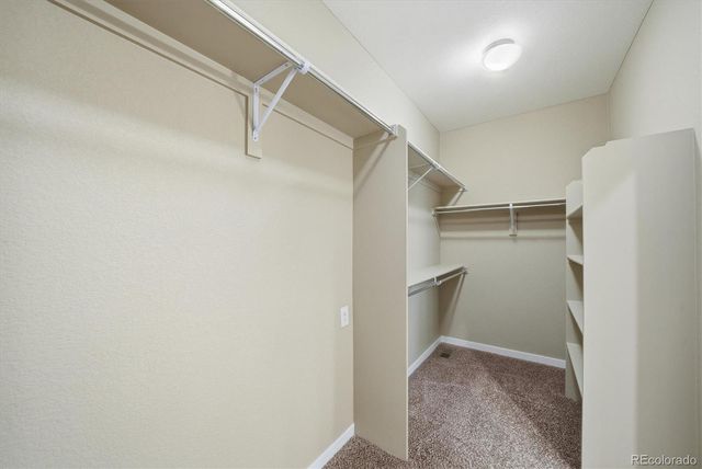 6373 Tramore Way, Colorado Springs, CO 80923