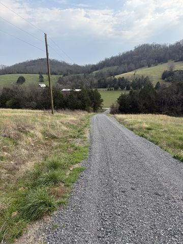 222 Cook Hollow Ln, Pleasant Shade, TN 37145