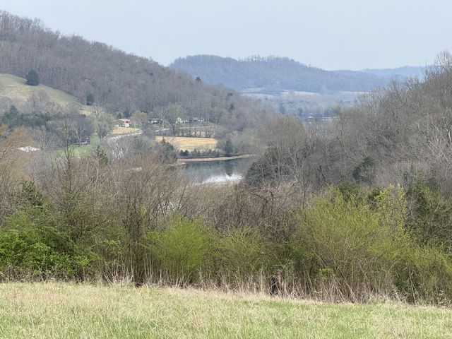 222 Cook Hollow Ln, Pleasant Shade, TN 37145