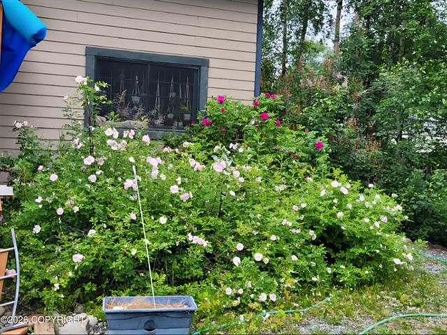 3975 S France Court, Big Lake, AK 99652