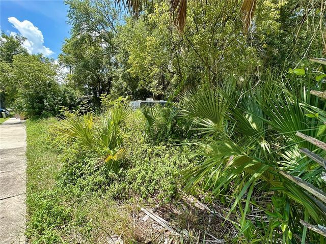 1546 IMMOCALEE STREET, Intercession City, FL 33848