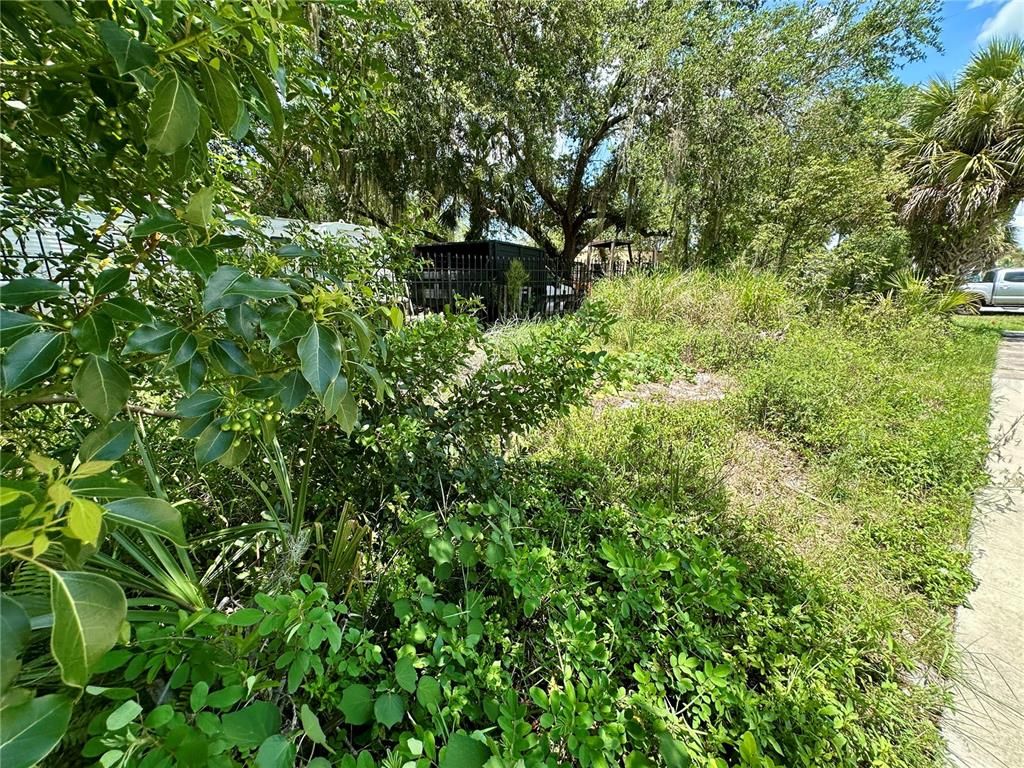 1546 IMMOCALEE STREET, Intercession City, FL 33848