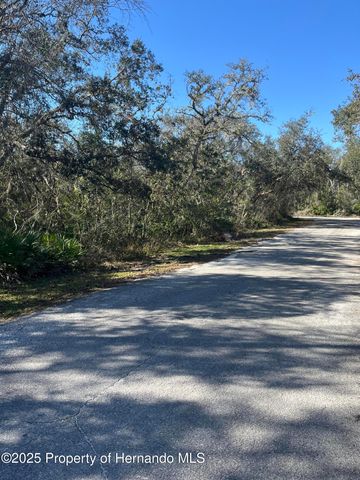 0 Excalibur Road, Webster, FL 33597