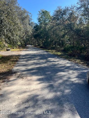 0 Excalibur Road, Webster, FL 33597