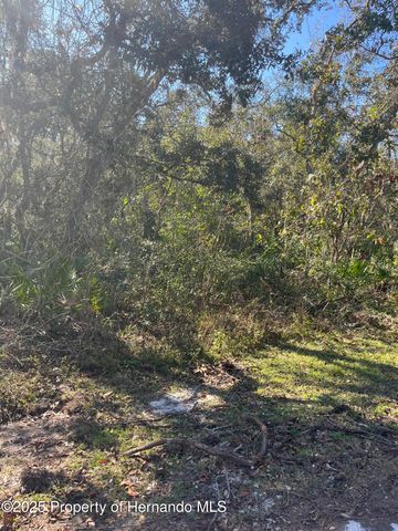 0 Excalibur Road, Webster, FL 33597