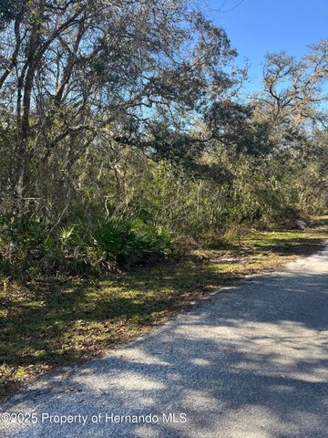 0 Excalibur Road, Webster, FL 33597