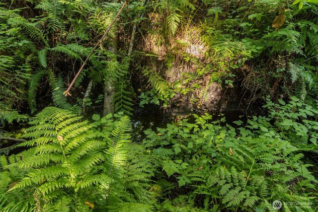 0 XX NE Baker Hill Road, Bainbridge Island, WA 98110