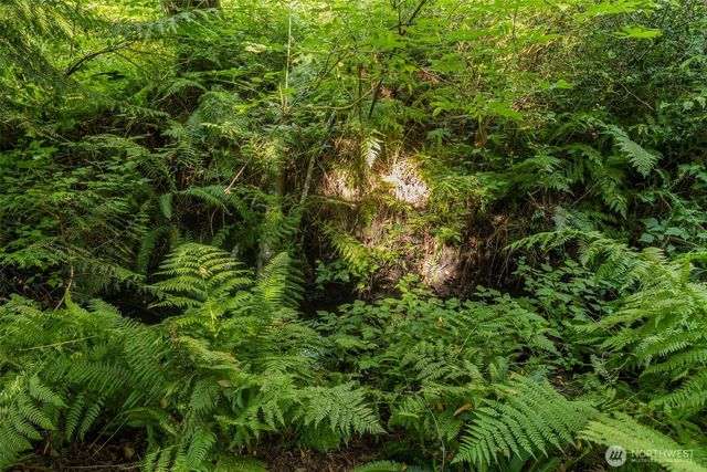 0 XX NE Baker Hill Road, Bainbridge Island, WA 98110