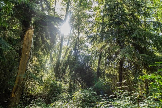 0 XX NE Baker Hill Road, Bainbridge Island, WA 98110