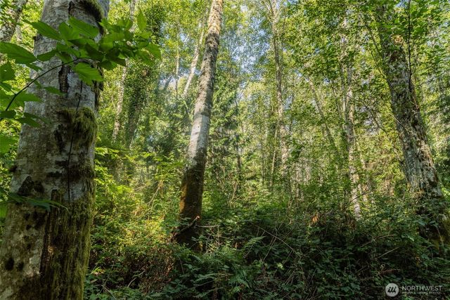 0 XX NE Baker Hill Road, Bainbridge Island, WA 98110