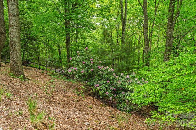 58 Sourwood Drive, Mills River, NC 28759