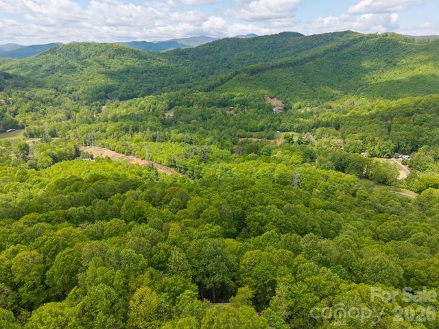 58 Sourwood Drive, Mills River, NC 28759