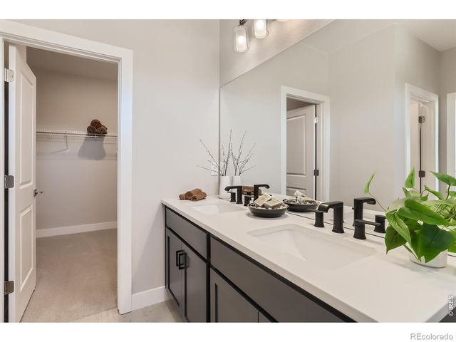 1857 Cord Grass Drive, Fort Collins, CO 80524