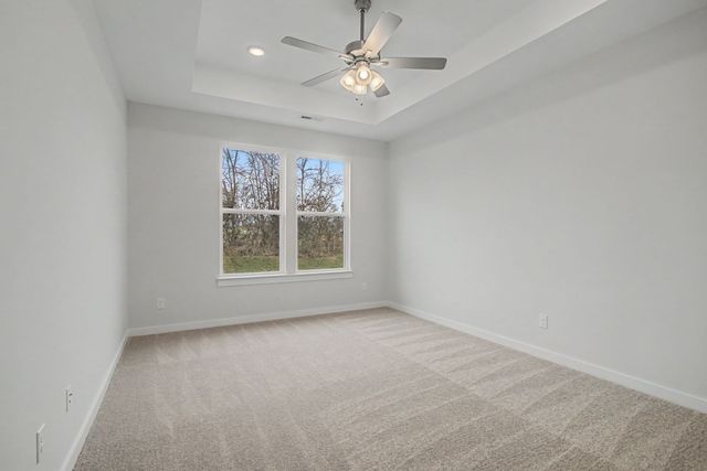 324 Black Bear Drive, Mount Pleasant, TN 38474