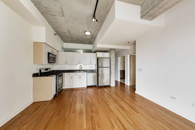 1620 S Michigan Avenue 1124, Chicago, IL 60616