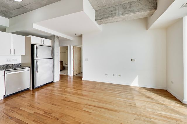 1620 S Michigan Avenue 1124, Chicago, IL 60616