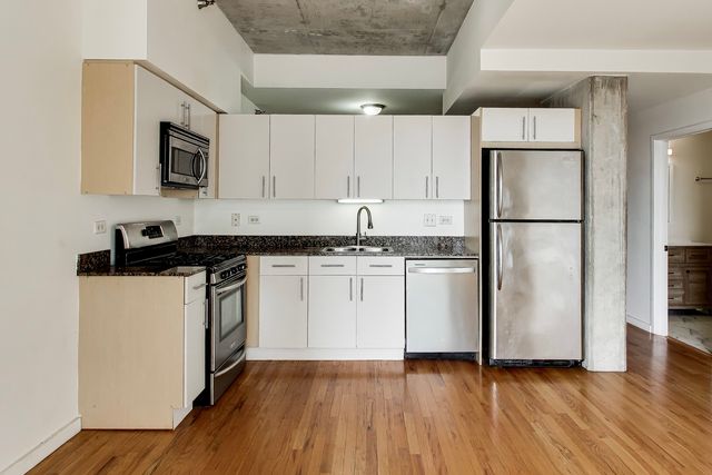 1620 S Michigan Avenue 1124, Chicago, IL 60616